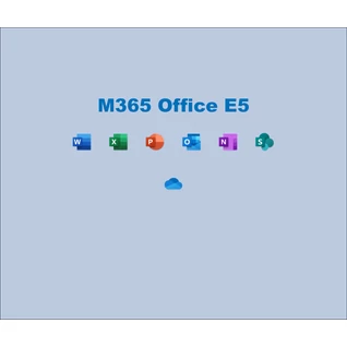 Office365 E5 EEA (no Teams)